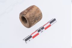 Foto von Beintülle (NHMW-PRAE-002297)